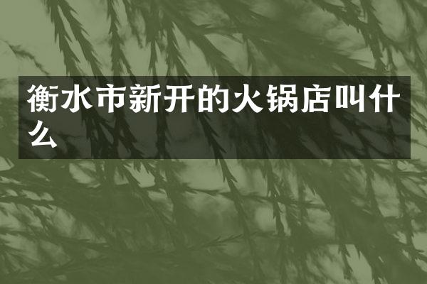 衡水市新开的火锅店叫什么