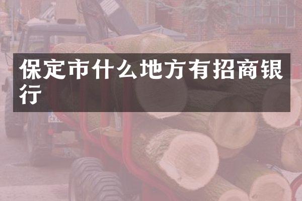 保定市什么地方有招商银行