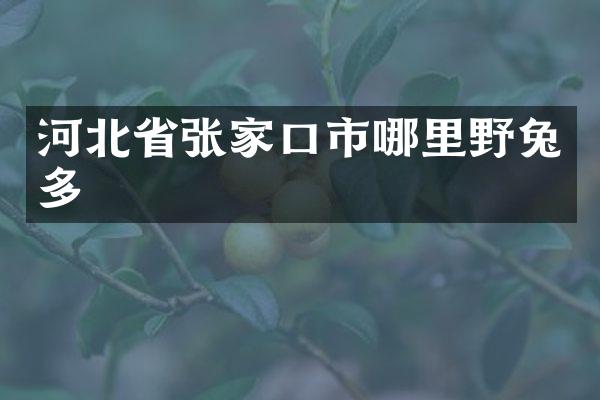 河北省张家口市哪里野兔多