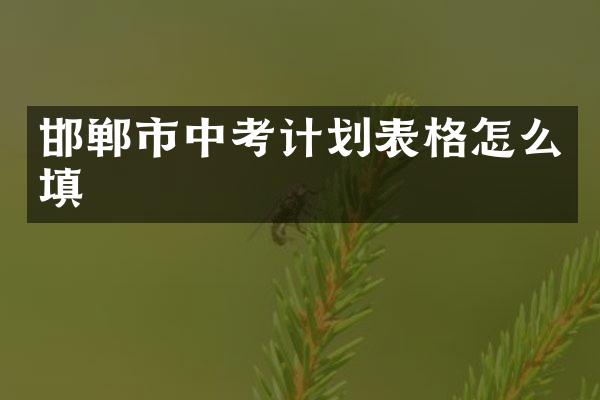 邯郸市中考计划表格怎么填