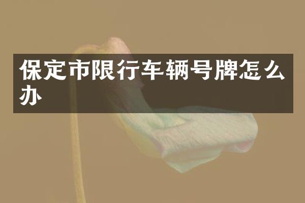 保定市限行车辆号牌怎么办