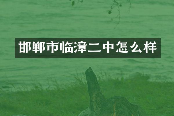 邯郸市临漳二中怎么样