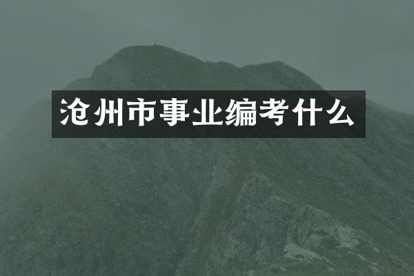 沧州市事业编考什么