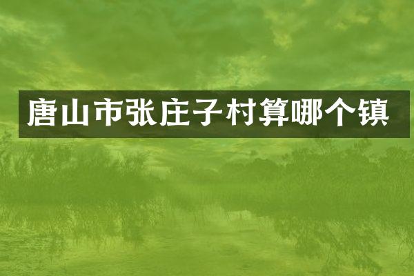 唐山市张庄子村算哪个镇