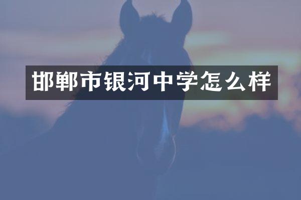 邯郸市银河中学怎么样