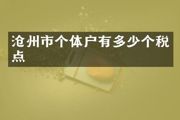沧州市个体户有多少个税点