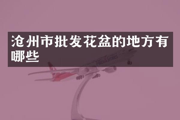 沧州市批发花盆的地方有哪些