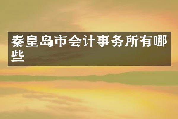 秦皇岛市会计事务所有哪些