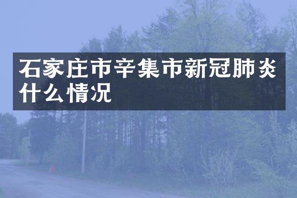 石家庄市辛集市新冠肺炎什么情况