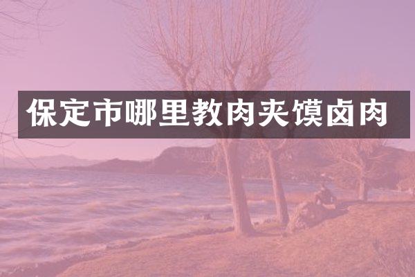 保定市哪里教肉夹馍卤肉