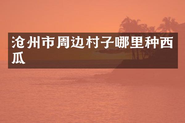 沧州市周边村子哪里种西瓜