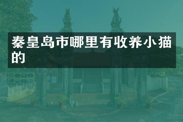 秦皇岛市哪里有收养小猫的
