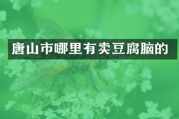 唐山市哪里有卖豆腐脑的
