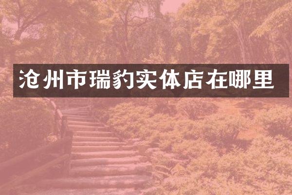 沧州市瑞豹实体店在哪里