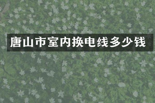 唐山市室内换电线多少钱