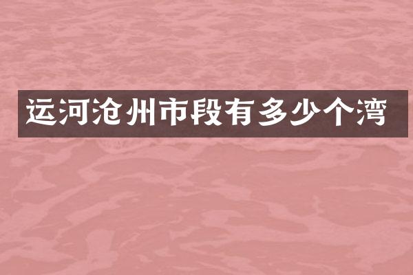 运河沧州市段有多少个湾