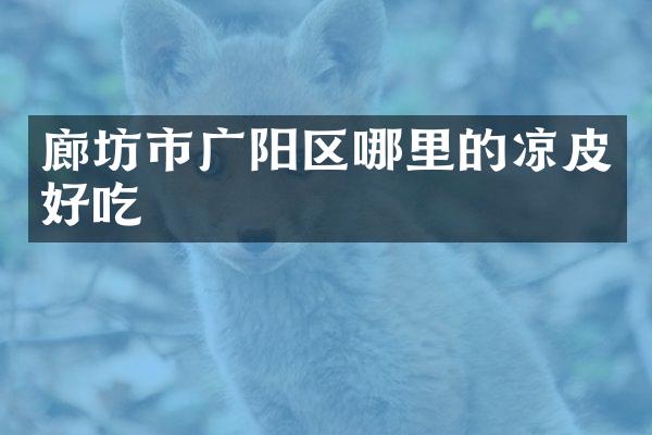 廊坊市广阳区哪里的凉皮好吃