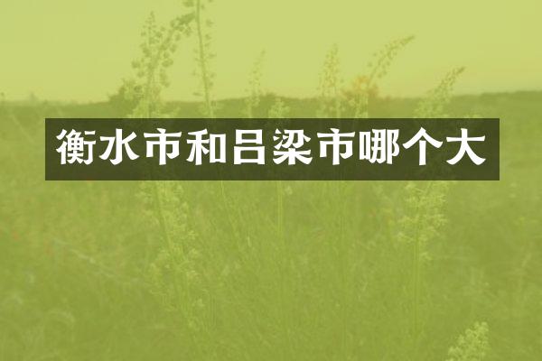 衡水市和吕梁市哪个大