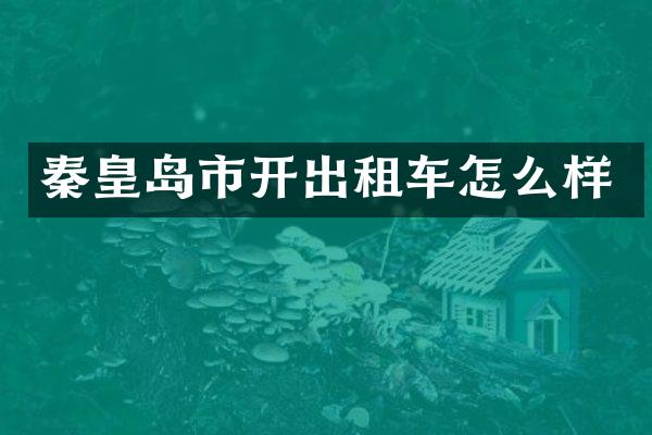 秦皇岛市开出租车怎么样