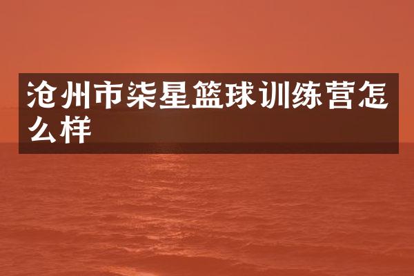 沧州市柒星篮球训练营怎么样