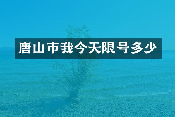 唐山市我今天限号多少