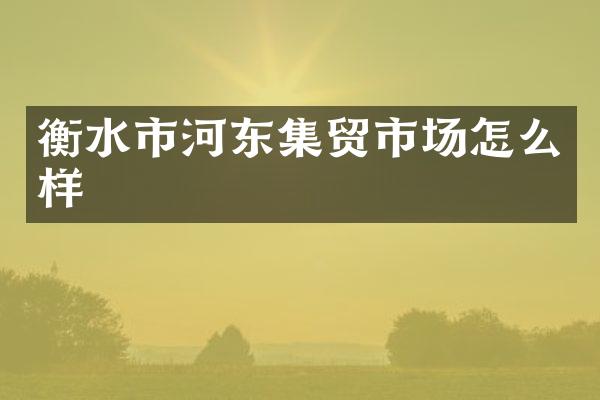 衡水市河东集贸市场怎么样