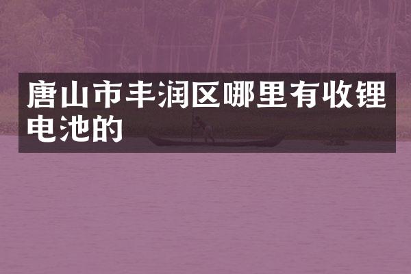 唐山市丰润区哪里有收锂电池的