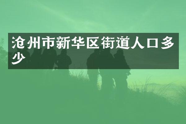 沧州市新华区街道人口多少
