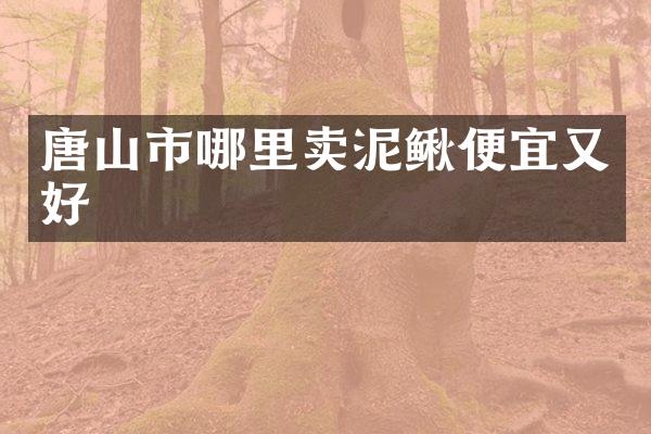 唐山市哪里卖泥鳅便宜又好