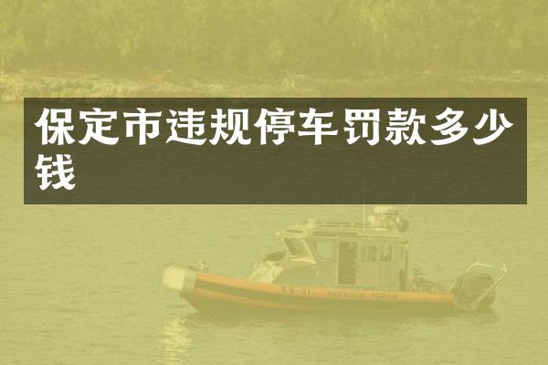 保定市违规停车罚款多少钱