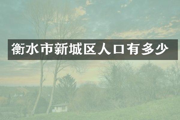 衡水市新城区人口有多少