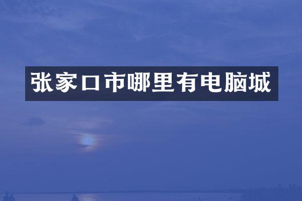 张家口市哪里有电脑城