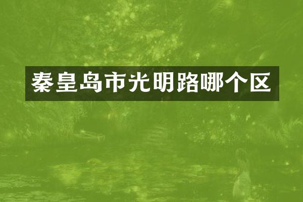 秦皇岛市光明路哪个区