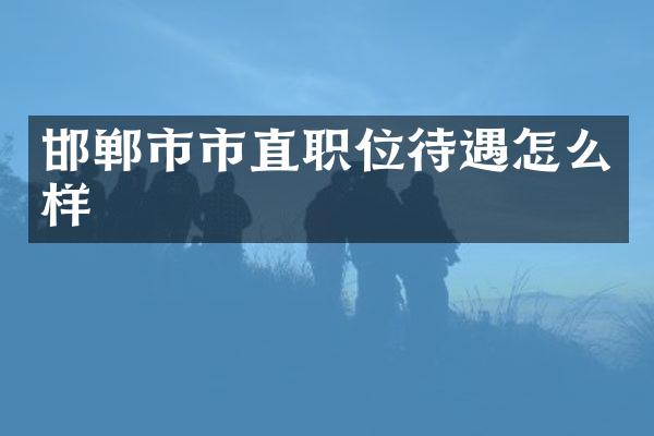 邯郸市市直职位待遇怎么样