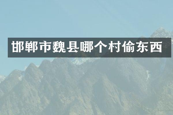 邯郸市魏县哪个村偷东西