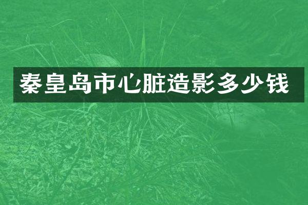 秦皇岛市心脏造影多少钱