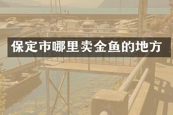 保定市哪里卖金鱼的地方
