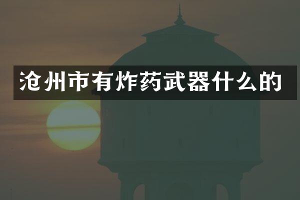 沧州市有炸药武器什么的