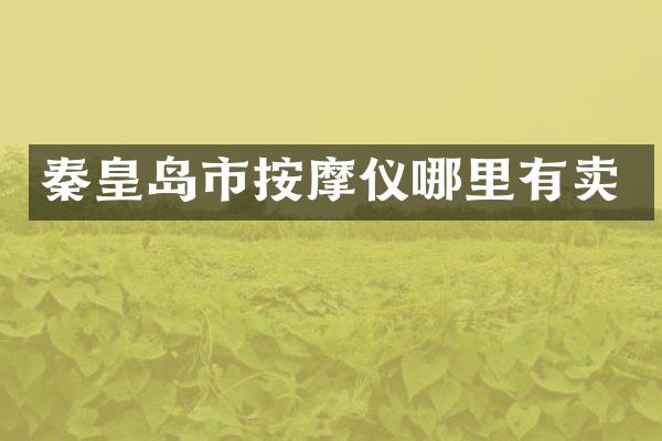 秦皇岛市按摩仪哪里有卖
