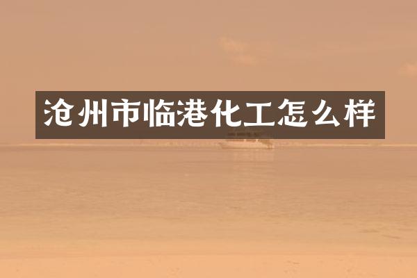 沧州市临港化工怎么样