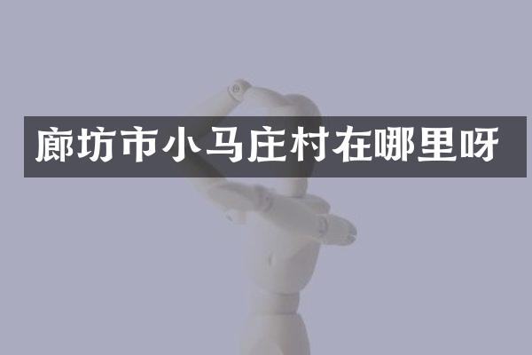 廊坊市小马庄村在哪里呀