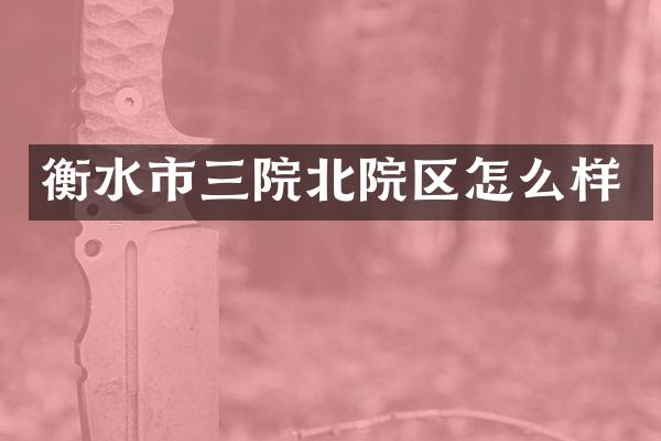 衡水市三院北院区怎么样