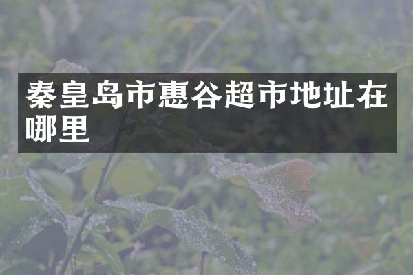 秦皇岛市惠谷超市地址在哪里