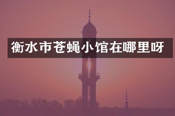 衡水市苍蝇小馆在哪里呀