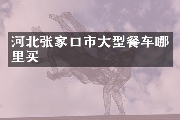 河北张家口市大型餐车哪里买