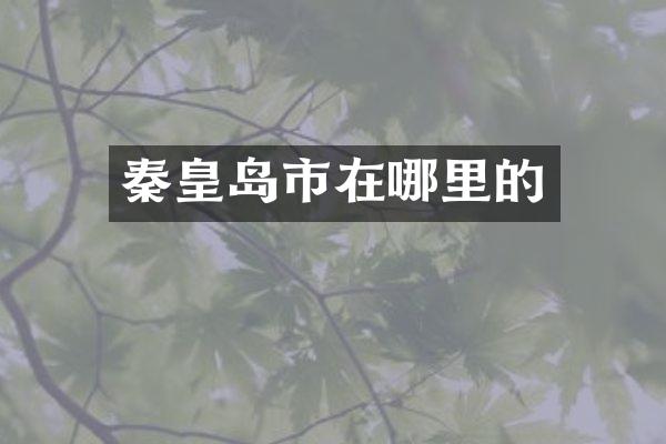 秦皇岛市在哪里的