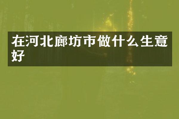 在河北廊坊市做什么生意好