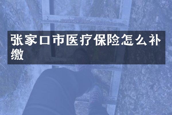 张家口市医疗保险怎么补缴