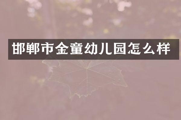 邯郸市金童幼儿园怎么样