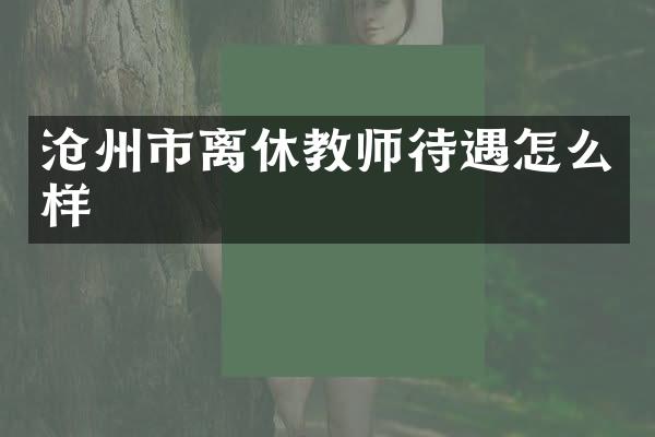 沧州市离休教师待遇怎么样